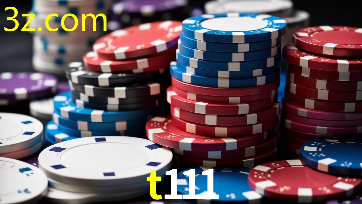 T111.COM
