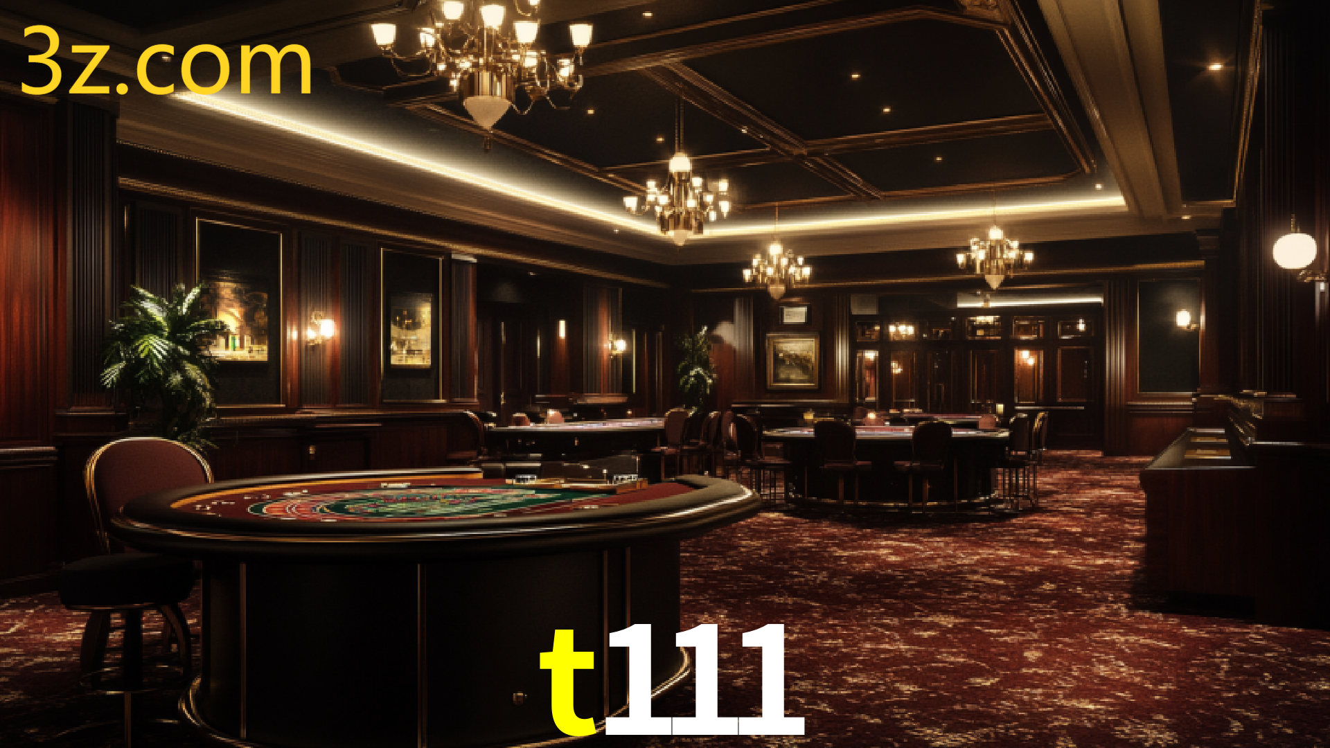 T111.COM